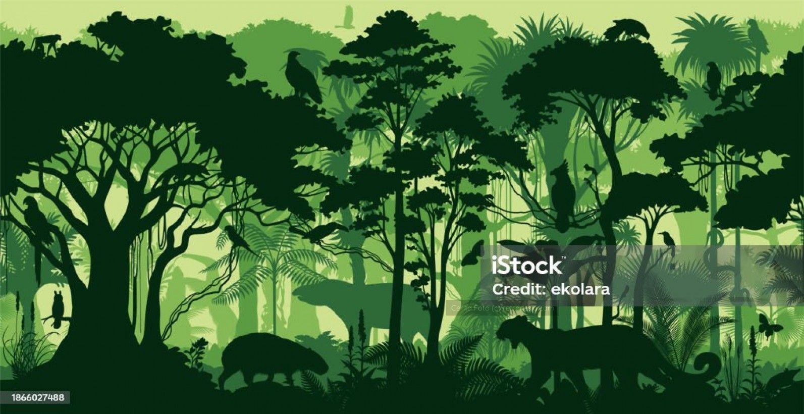 Ilustrasi hutan alami