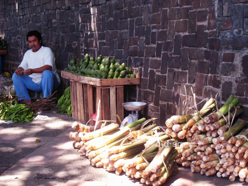 Pedagang di trotoar Kebun Raya Bogor, 2007