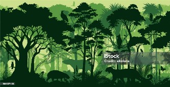 Ilustrasi hutan alami